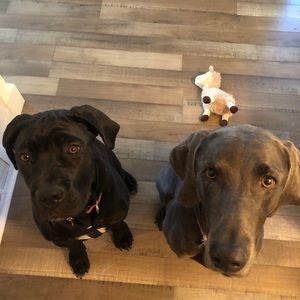 Meet your Posher, Kimberly